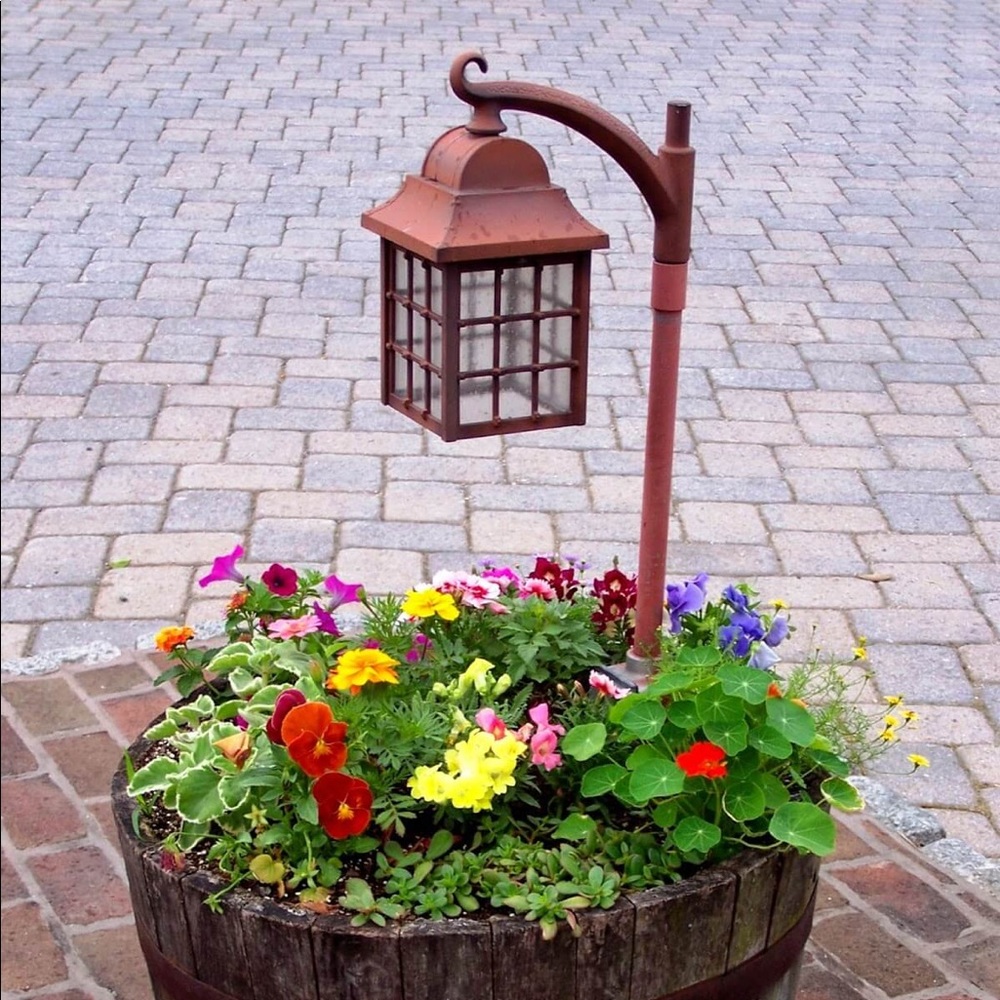 Meet your Posher, Ivy